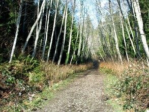 Port Gamble Heritage Trails