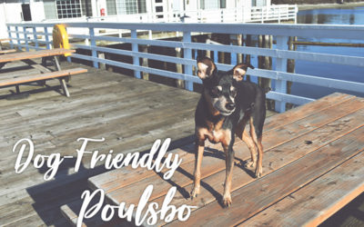 A Dog-Friendly Getaway in Poulsbo