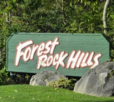 forestrock.jpg
