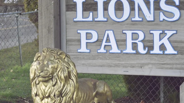lions-park.jpg
