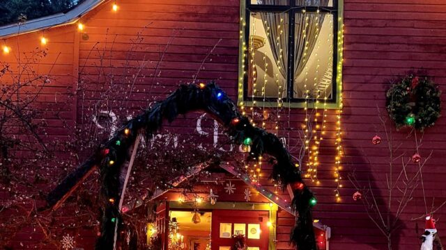 597810079_1482998000499701_9221352147468573236_n