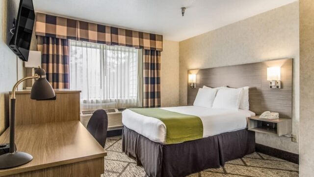 Gallery_1000x667_WAPOUL_GuestHouse_9-Full-Bed-1024×683