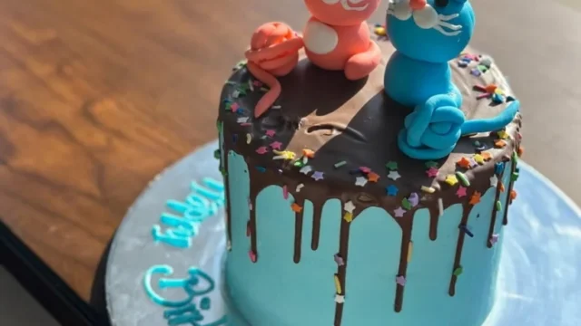 bakery-poulsbo-cat-cake-819×1024