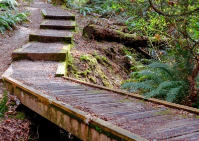 Wooden bridge trail through Wilderness Park in Poulsbo, WA. Photo by Shiloh Schroeder.