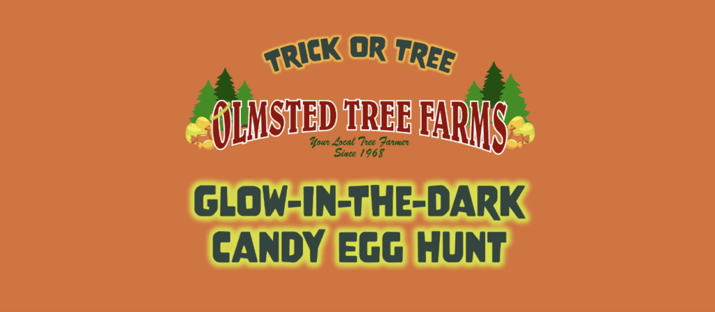 Glow-in-the-dark candy egg hunt at Olmsted Tree Farms in Poulsbo.